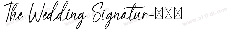 The Wedding Signatur字体转换